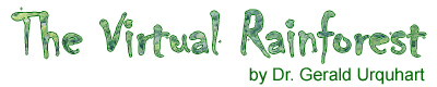 The Virtual Rainforest